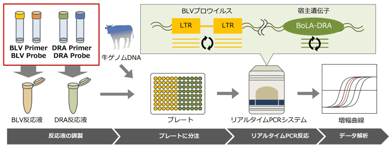 活用例