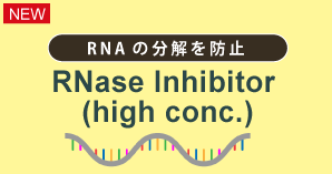 RNase阻害剤