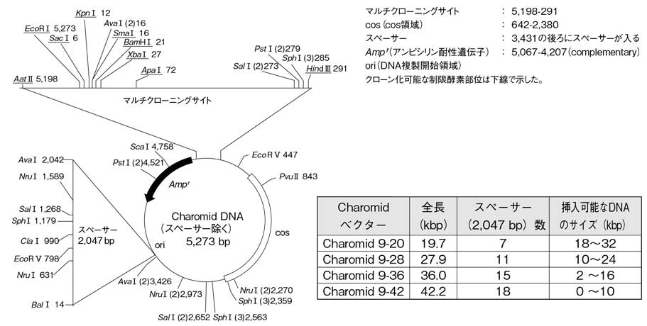 map_charomid