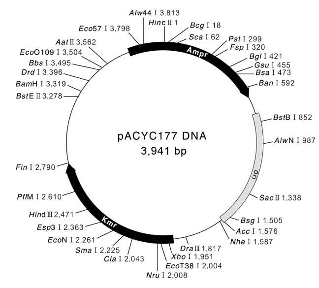 pmw219