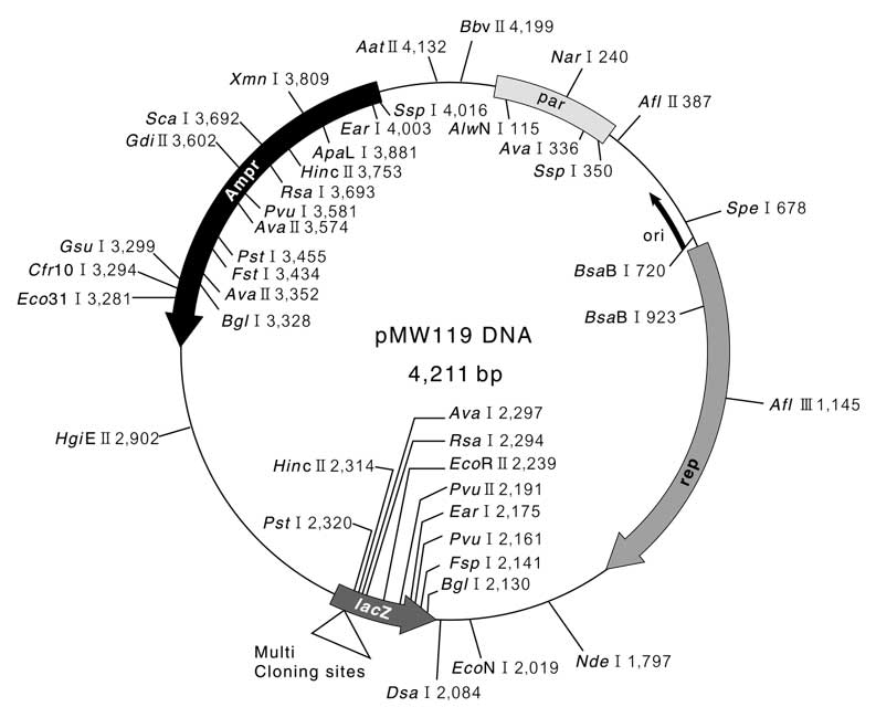 pmw118