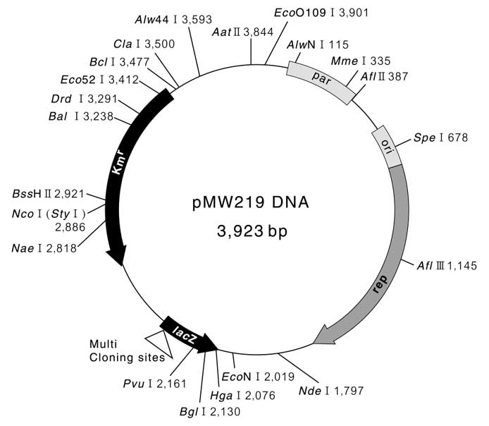 pmw219