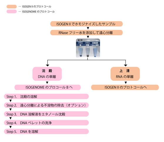 protocolB