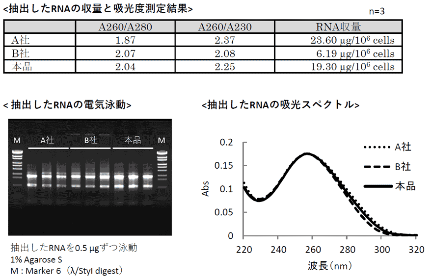 培養細胞からのRNA抽出