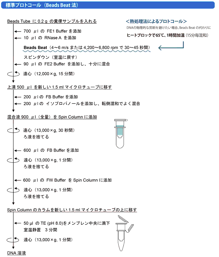 プロトコル