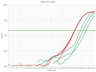 data3_tane