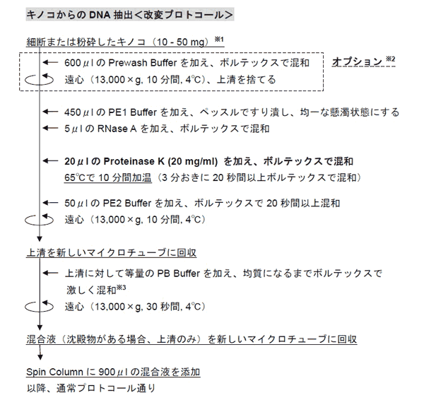 改変プロトコール