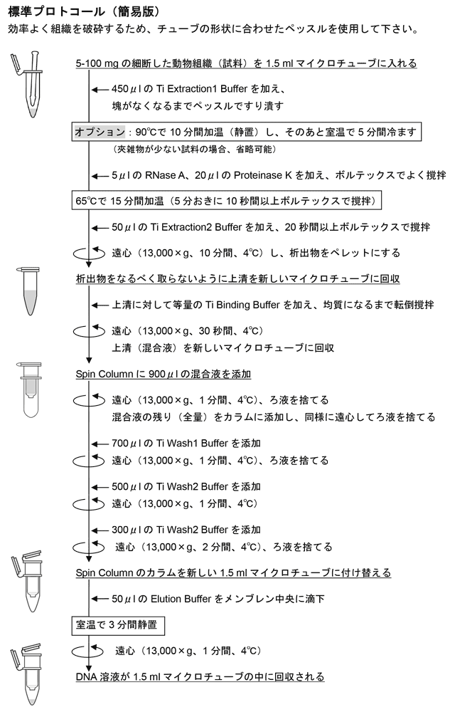 標準プロトコール