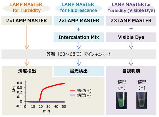 LAMP MASTER シリーズ